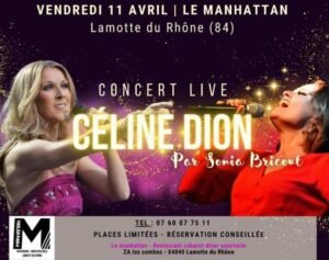 spectacle céline dion