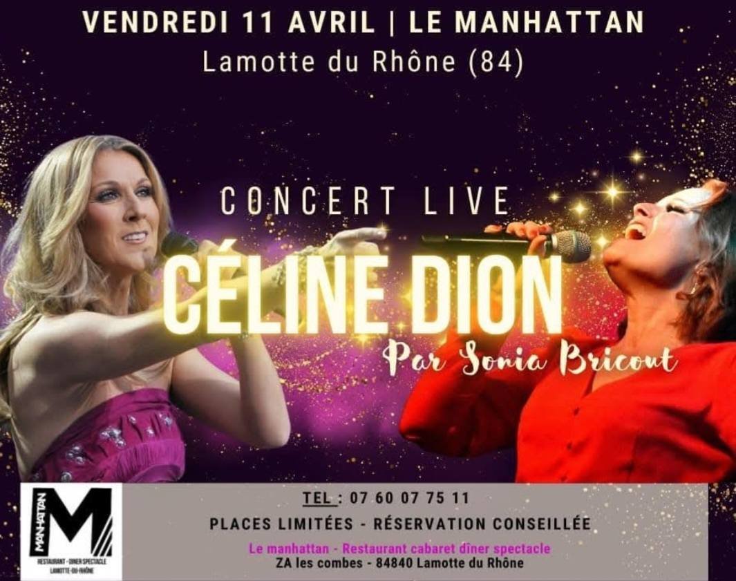 spectacle céline dion